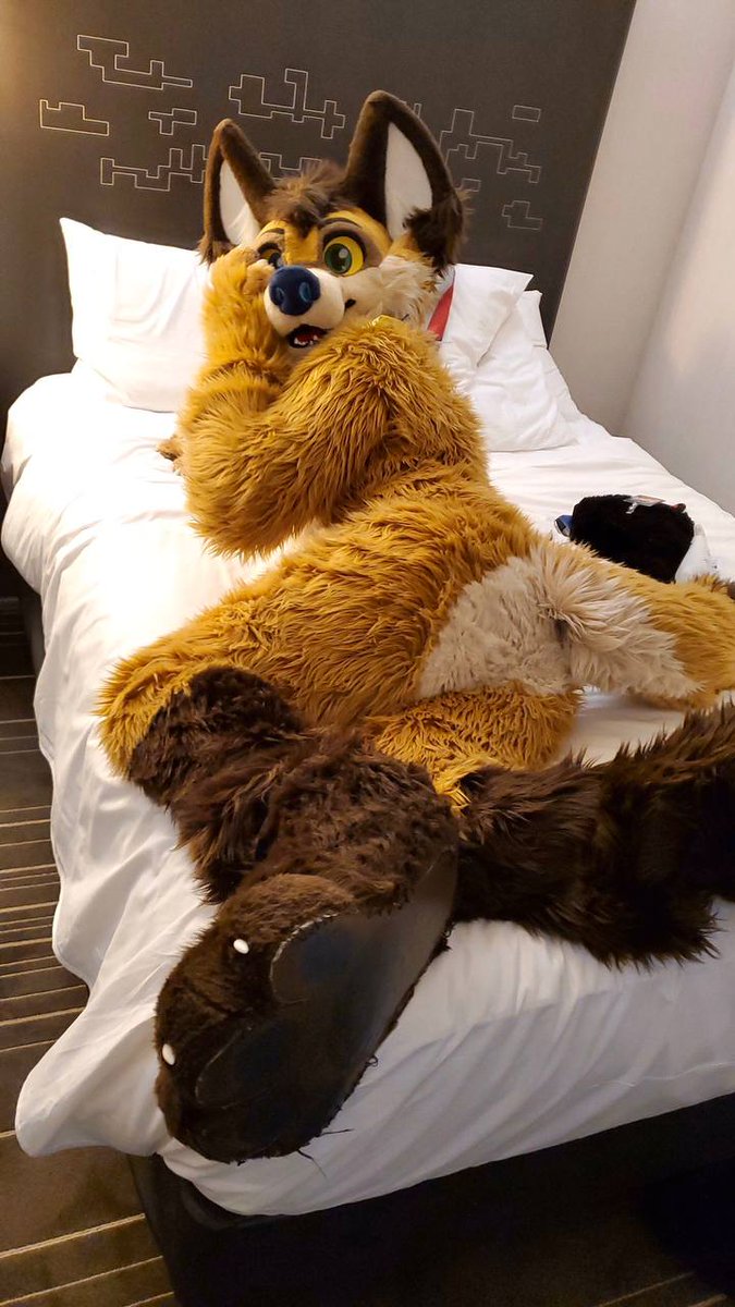 Damn. I really need some brushing all over my fur. Some places are more scruffy than others! Any volunteers to brush this yote? 
#FursuitFriday