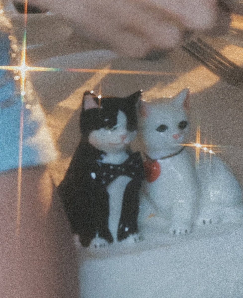 ItsDannyPop's tweet image. Heterocromia 🩵🐈‍⬛🍹🏌🏼‍♀️