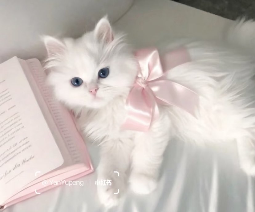 heartipink's tweet image. literally me: