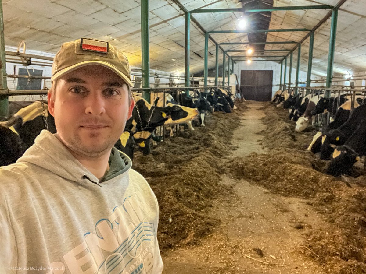 MateuszMarzoch's tweet image. Ostatnie dwa dni spędziłem w moim rodzinnym domu🏡 pomagając w gospodarstwie🐄🚜 moich rodziców.

Wczoraj przywiozłem tatę ze szpitala, gdzie przeszedł dość poważną operację, więc mama została „sama” z kilkudziesięcioma krowami do nakarmienia i wydojenia. W weekend pomagać mamie…
