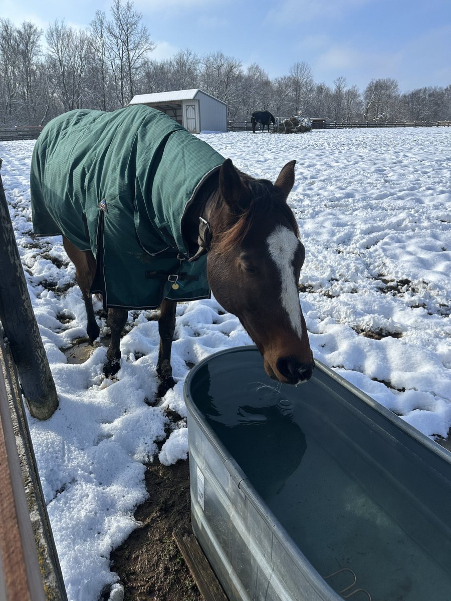 Leah Vasquez tweet media