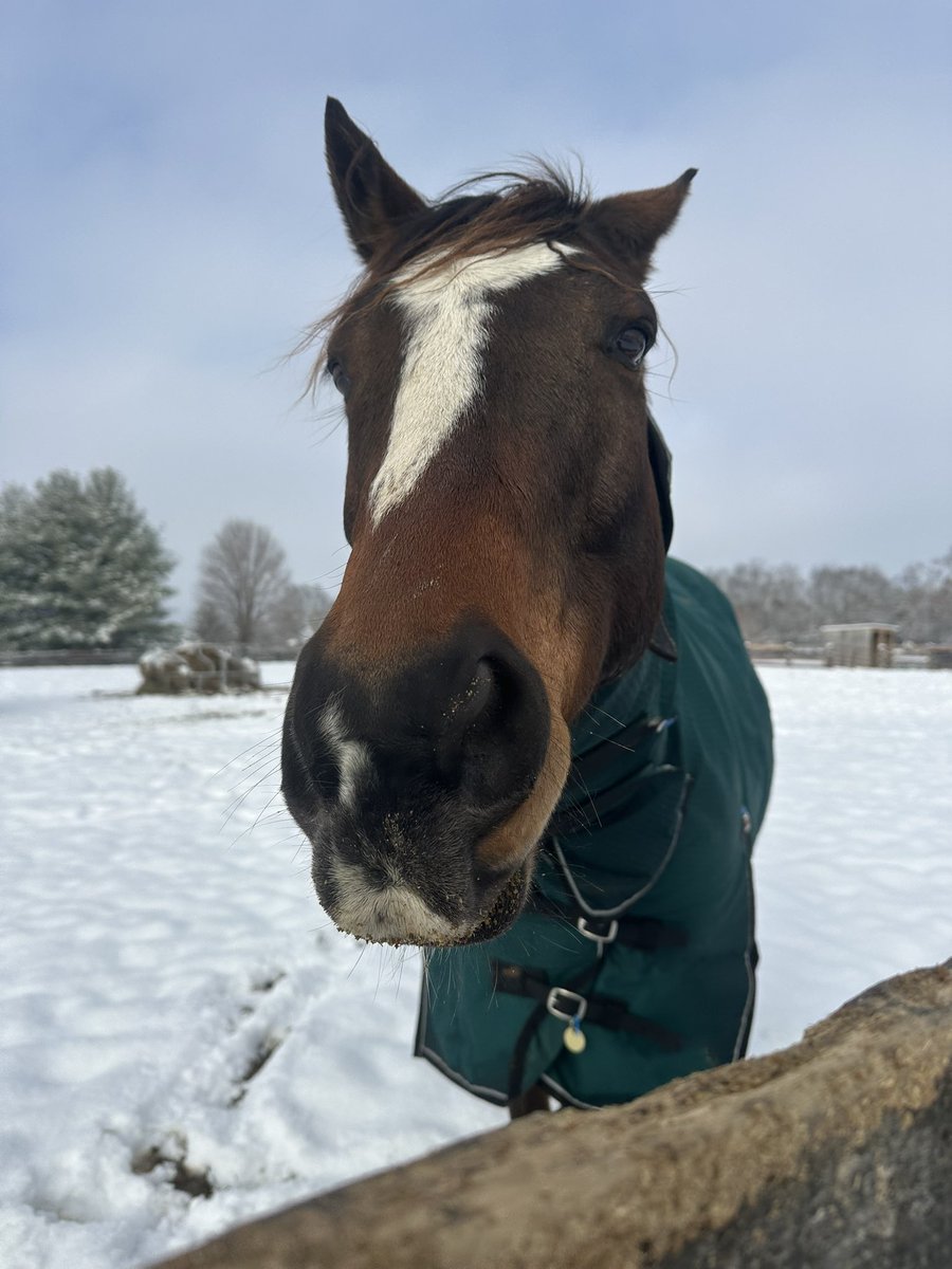 Leah Vasquez tweet media