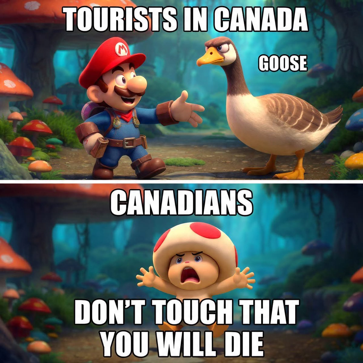 Don't touch the goose!

.
.
.

#meanwhileincanada #canadagoose #funnymemes