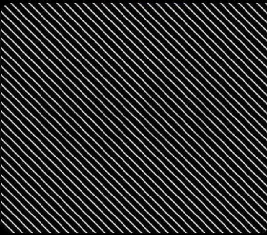 Can you see the hidden number?