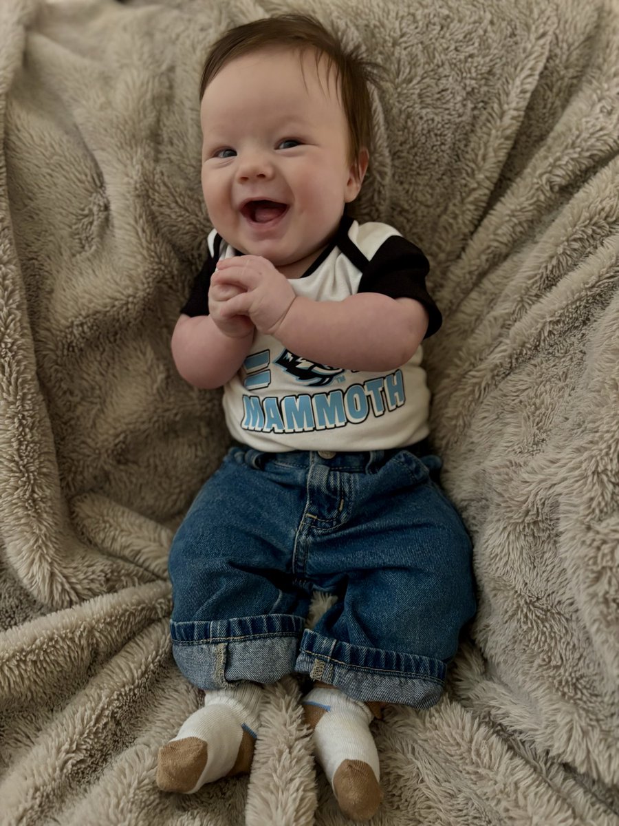 desiree westergard tweet media