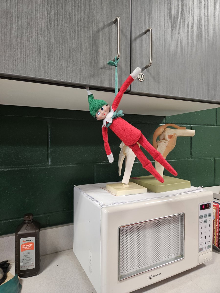 Football forgot an elf outside my door, so I made him a hat. Meet Cramer