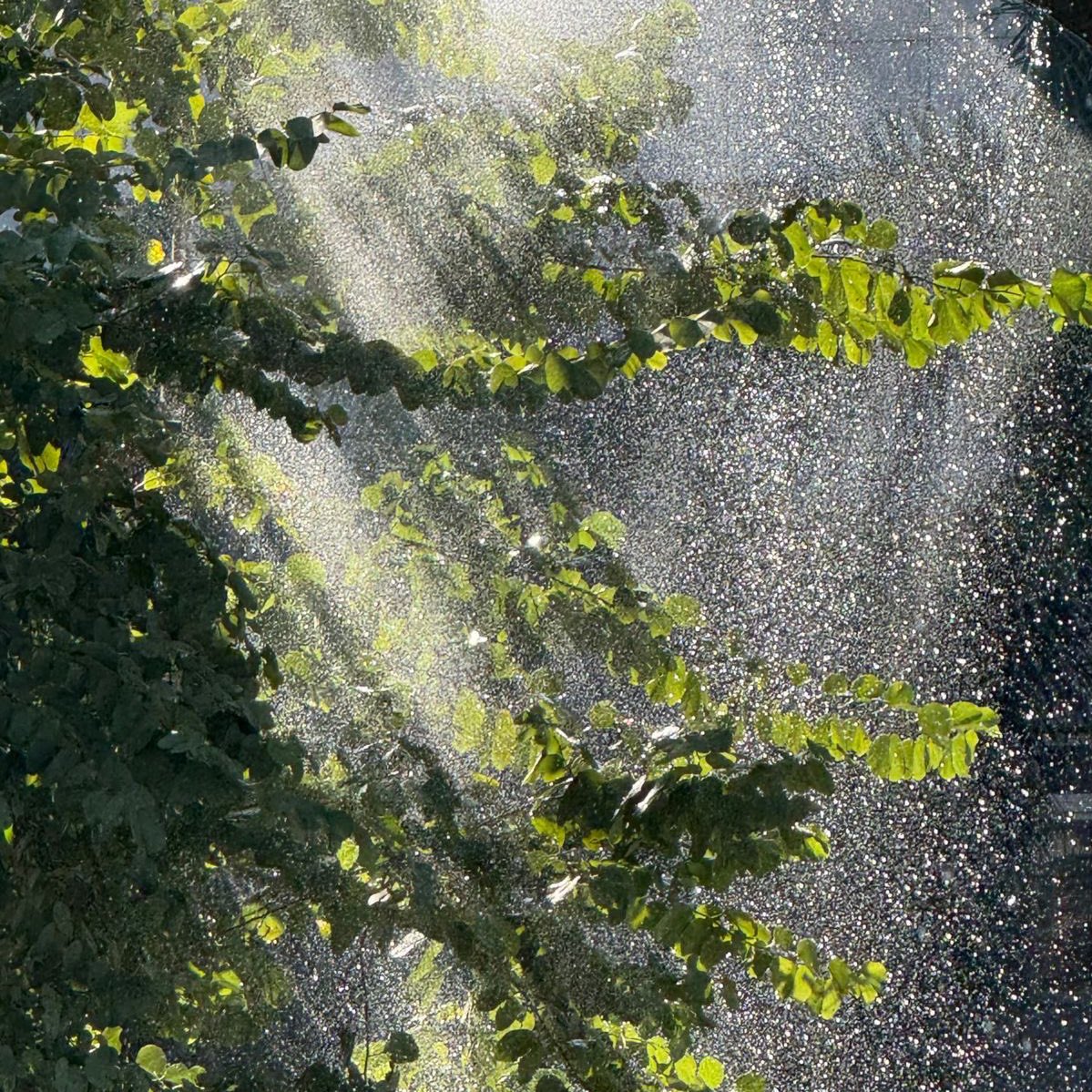 A sensação de ouvir Sunshine &amp; Rain