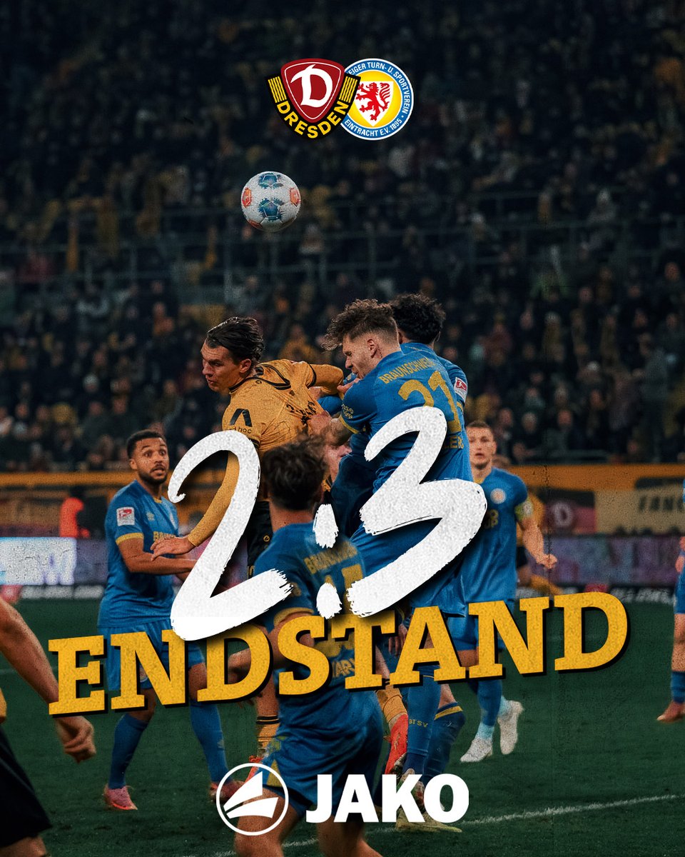 SG Dynamo Dresden tweet media