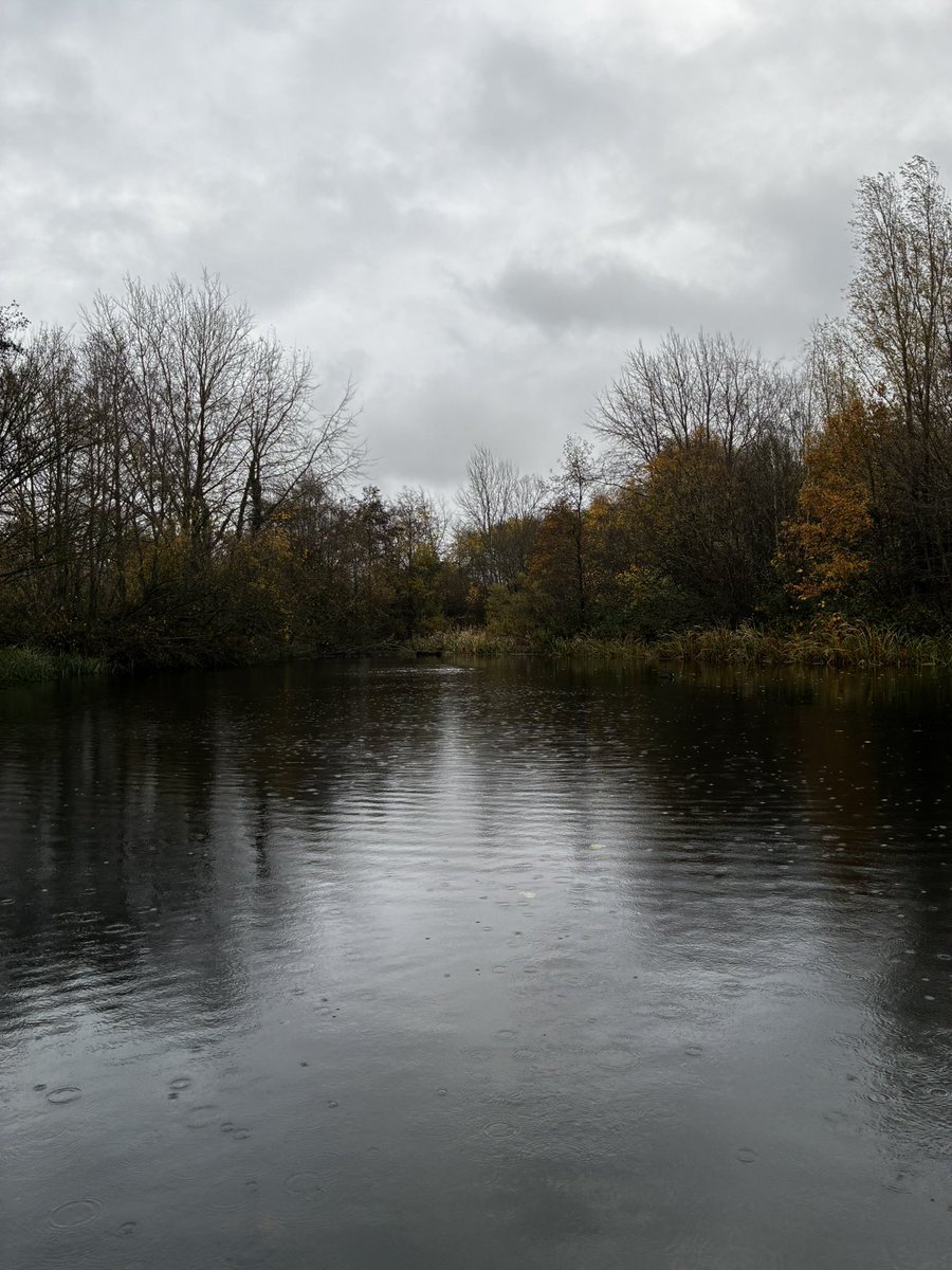 BrockwayVoila's tweet photo. November at the pond. I have enjoyed the changing weather, spotting nests in the bare branches of the trees, the remnants of birdsong, the sun colouring in the morning sky. #SamePlaceDifferentDay https://t.co/7lZ41tU3gx