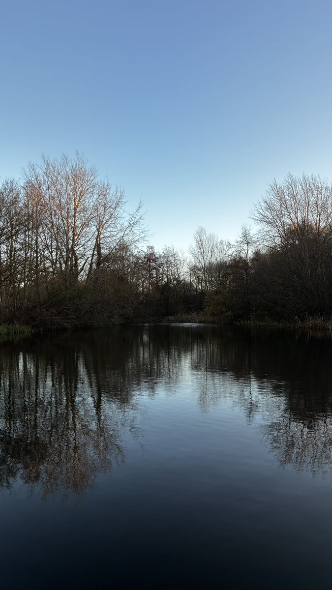 BrockwayVoila's tweet photo. November at the pond. I have enjoyed the changing weather, spotting nests in the bare branches of the trees, the remnants of birdsong, the sun colouring in the morning sky. #SamePlaceDifferentDay https://t.co/7lZ41tU3gx