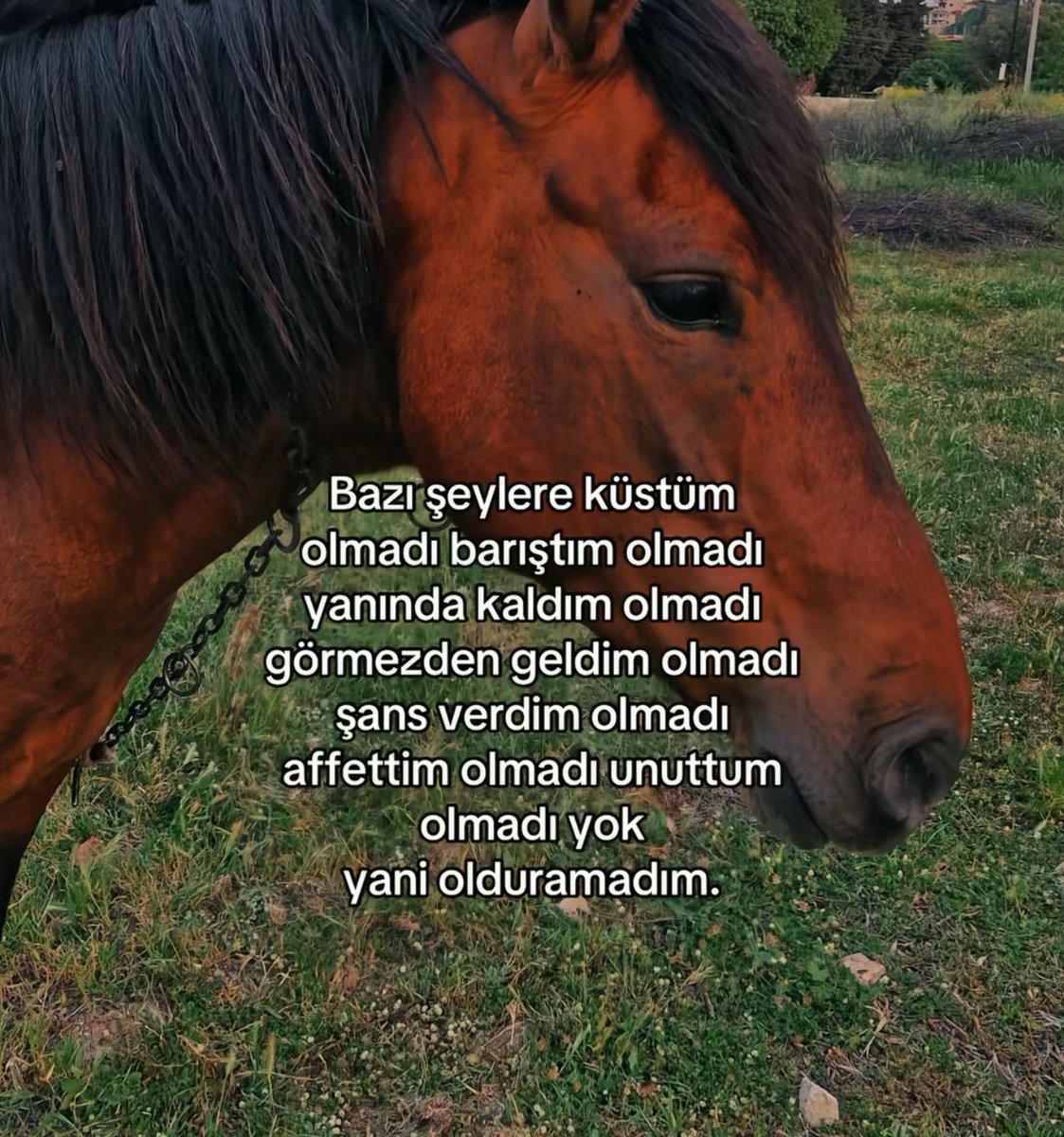 haklı (@asirihaklii) on Twitter photo 