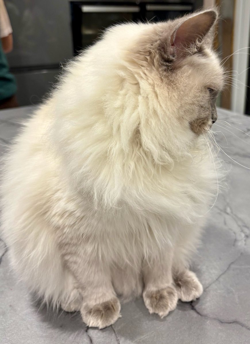 Susannah 💜💕 🤘📸🌼🥀🍝📝🌳 tweet media