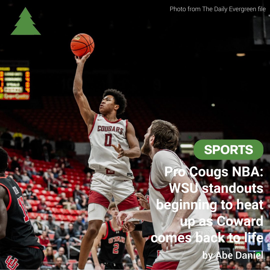 The Daily Evergreen tweet media