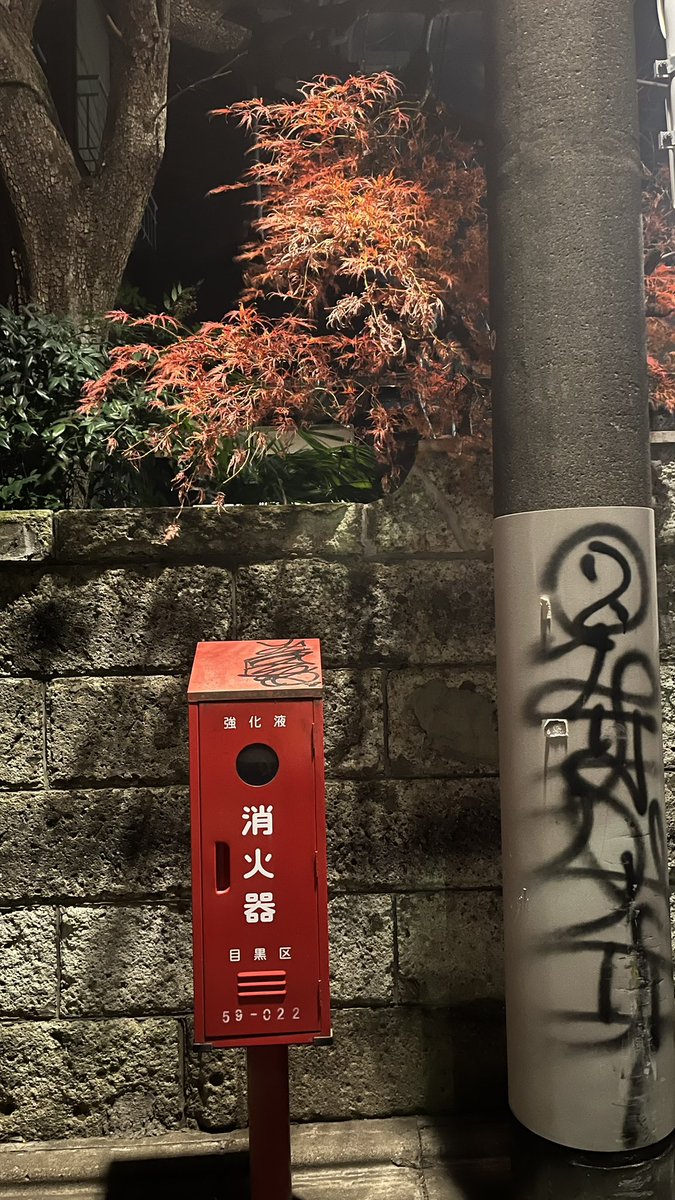 1日お疲れちゃん