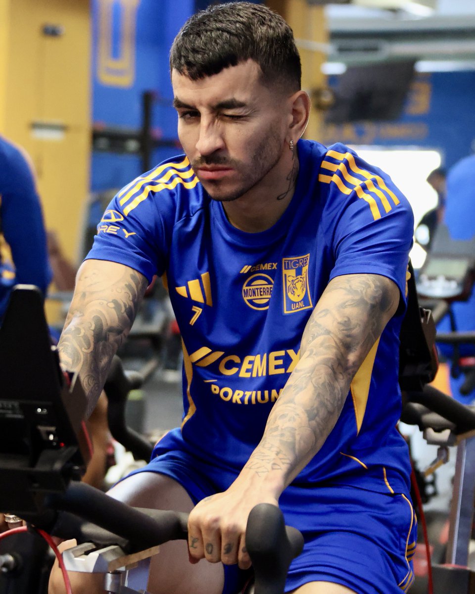 TigresOficial's tweet photo. A N G E L I T 😉 https://t.co/t4Zmp8AhwW