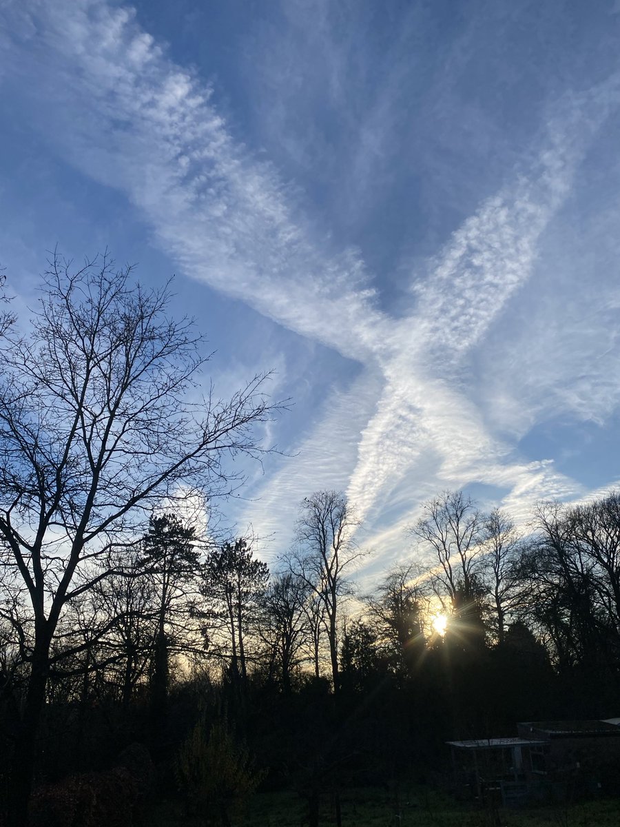 alex fielding 🇪🇺 tweet media