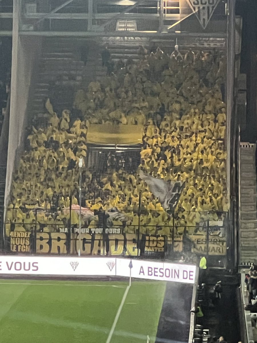 Alexis_Vrg's tweet image. L’unique fierté de notre club.

Les supporters. #SCOFCN