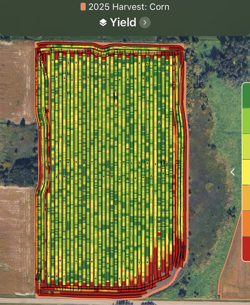 Tim “Clownshow Farms” Braun tweet media