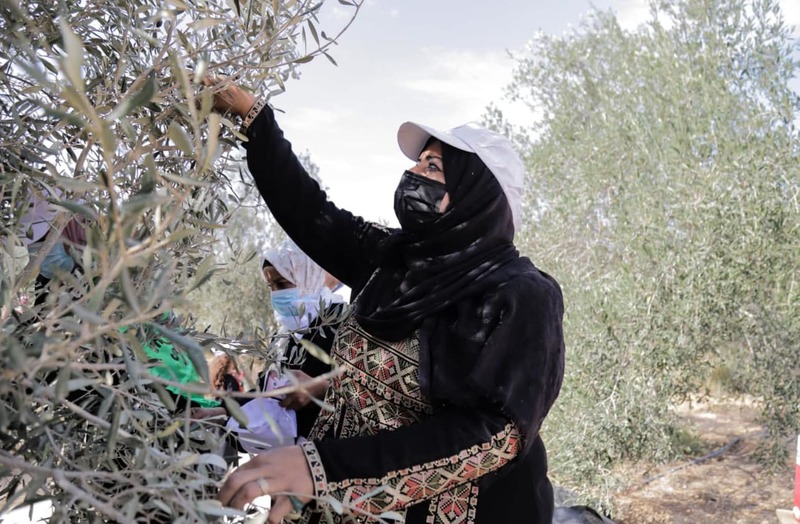 RevistaSABC's tweet photo. 📢COMUNICADO
63 organizaciones del Estado español denuncian el ataque a la organización miembro de La Via Campesina en Palestina. Exigen al gobierno español que mueva ficha para lograr la liberación inmediata de las personas detenidas.
https://t.co/EAJ1GYS4Mm https://t.co/atVMT3ChqY