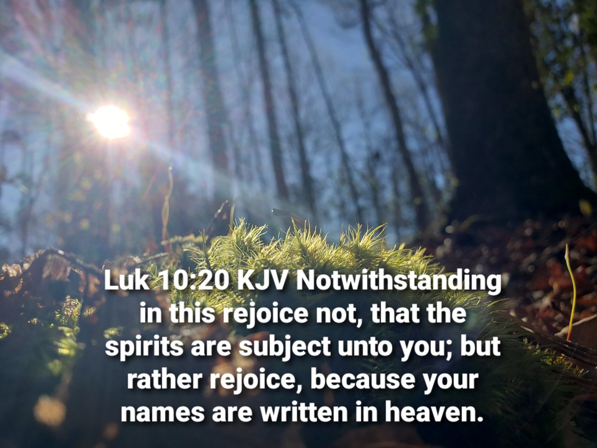 1division's tweet image. 