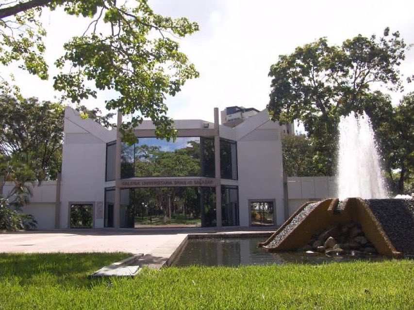 Hoy celebramos 54 años de historia, pasión y expresión artística en nuestra querida <a href="/GaleriaBS/">Gal. Braulio Salazar</a> de la <a href="/UCarabobo/">Universidad de Carabobo</a> .

La GUBS ha sido un faro cultural en nuestra región, un espacio vital donde el arte se encuentra con la academia y la comunidad.