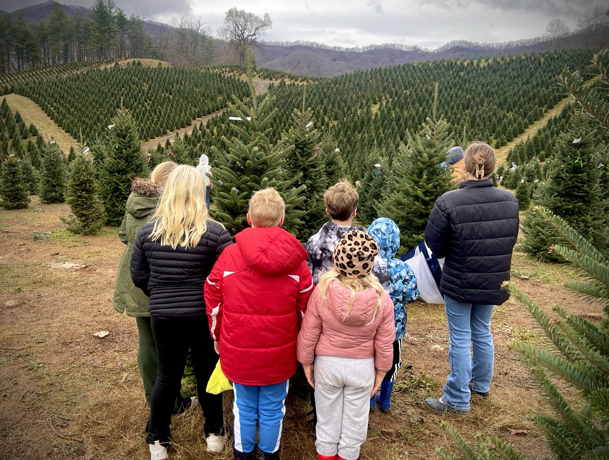 There’s something really special about this tradition. 🎄
Children at Broyhill Home, tucked away in the mountains of Clyde, NC, got to head out with their Cottage Parents to pick out their Christmas tree—the one they’ll bring home, decorate together, and gather around all season