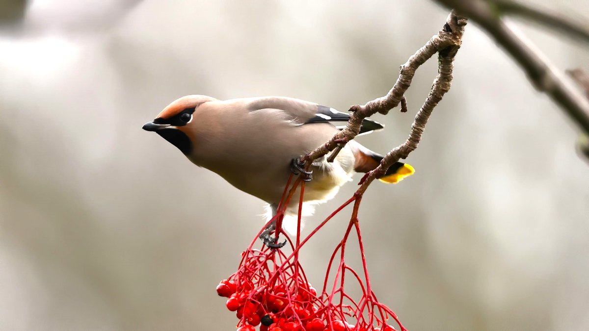 Mark fullerton tweet media