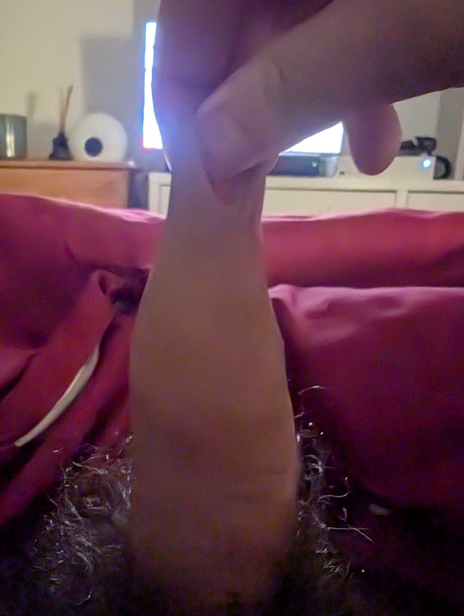 ThanksForAllTheFish tweet media