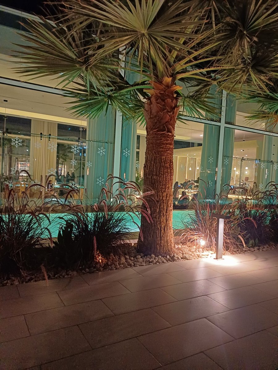 عشوائيات 🫡✨️