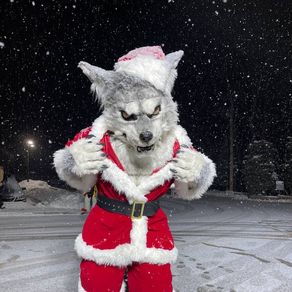 UltimusDragon's tweet photo. Happy #FursuitFriday and a week after an amazing #MFF2025! Finally got that 1 awesome snow shot, complete with the perfect outfit for the occasion. Now time to review the Naughty List and decide who #WerewolfSanta should consume first on Christmas Morning.

📸🧵: @sixthleafclover https://t.co/8Lr4kj49dn