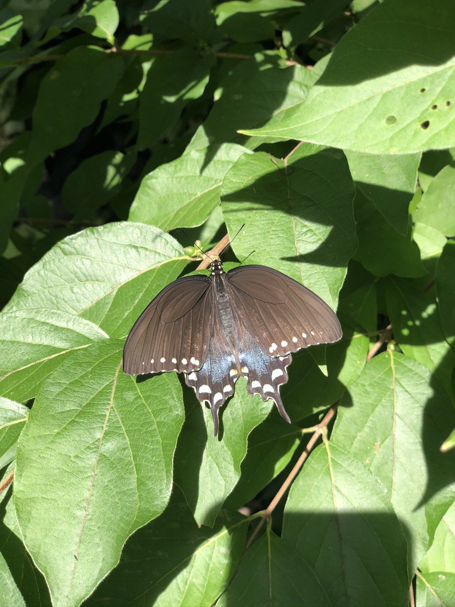 morg (@morg_alexx) on Twitter photo 