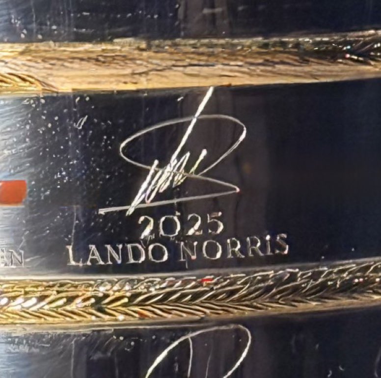 norrisprix's tweet photo. LANDO NORRIS YOU ARE THE 2025 WORLD CHAMPION 😭😭😭 https://t.co/GLs251thV3