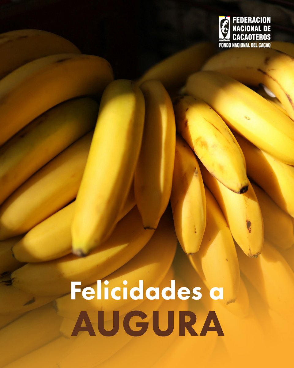 ¡Felicitaciones en su aniversario a la Asociación de Bananeros de Colombia – <a href="/AuguraColombia/">Augura</a>! 🎉 Desde Fedecacao enviamos un saludo fraterno al gremio bananero. Reconocemos su compromiso, disciplina y el valioso aporte que el cultivo de banano brinda al desarrollo del país.👩‍👩‍👦‍👦