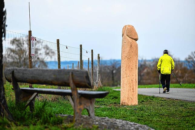 Jörg Planer tweet media