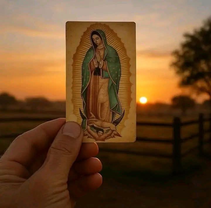 Virgen de Guadalupe... ruega por nosotros 🙏