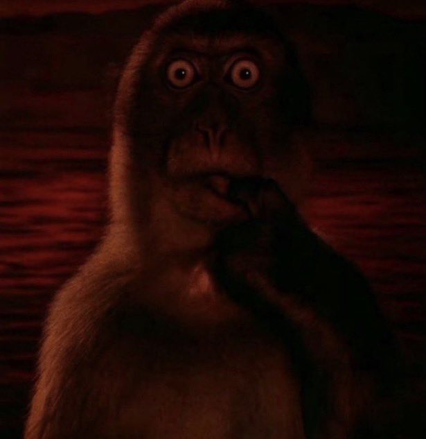 finaller yaklaşıyo amk
finaller yaklaşıyo
finaller
final