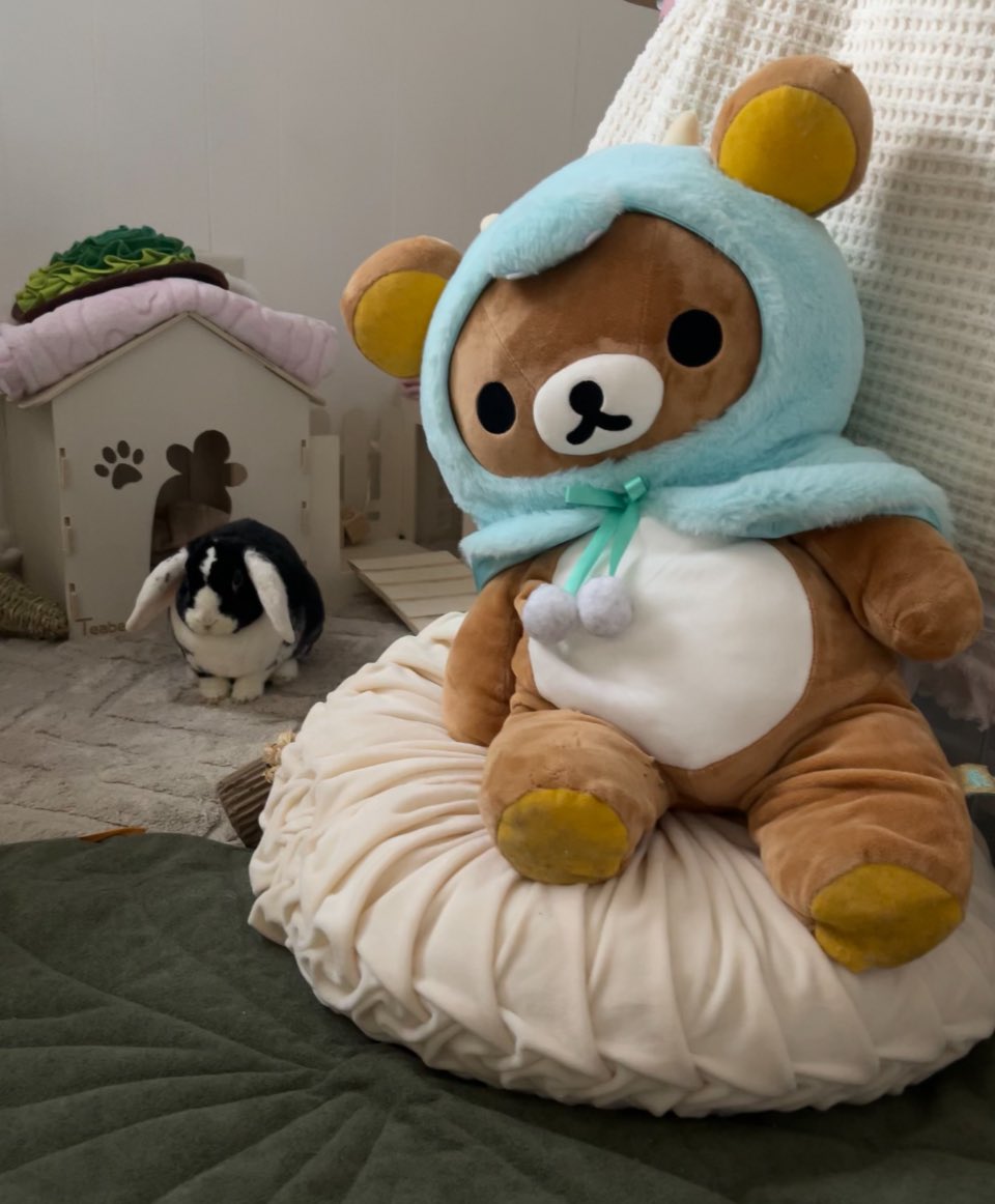 nyaapara's tweet photo. favorite parts of my bedroom ♡ https://t.co/Fu7Yokt64P