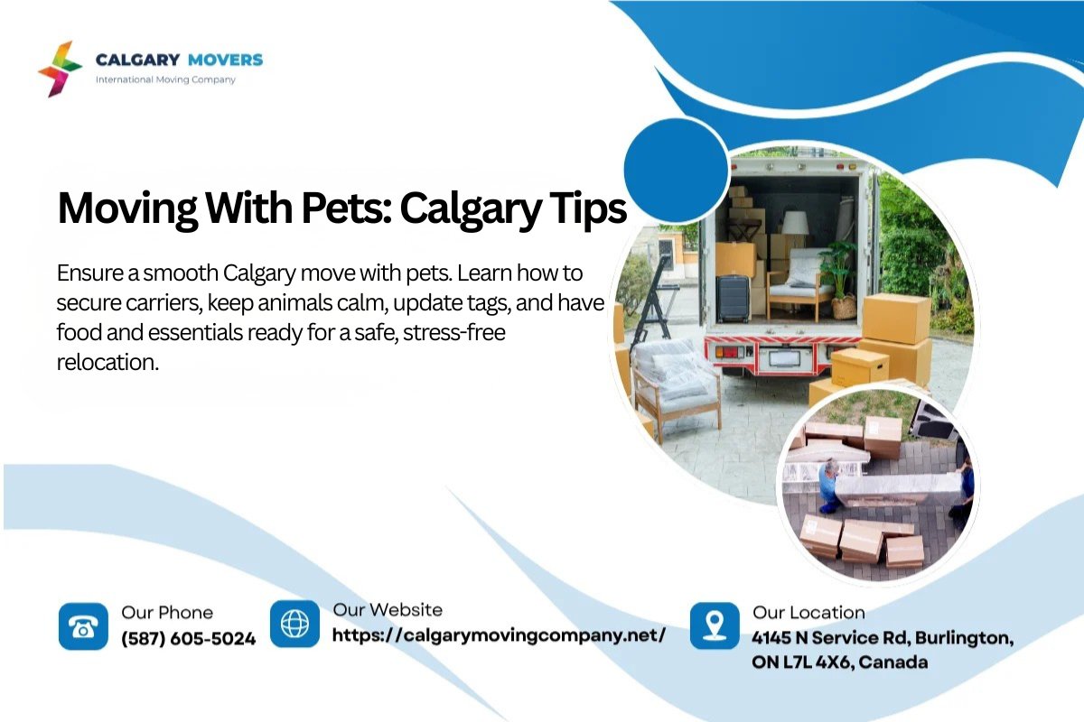 calgarymoversca's tweet image. Calgary move with pets? Secure carriers, calm spaces, updated tags, and essentials ready. Keep pets safe and stress low. #CalgaryMoving