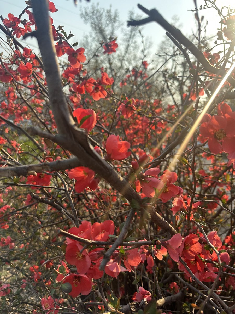 morg (@morg_alexx) on Twitter photo 