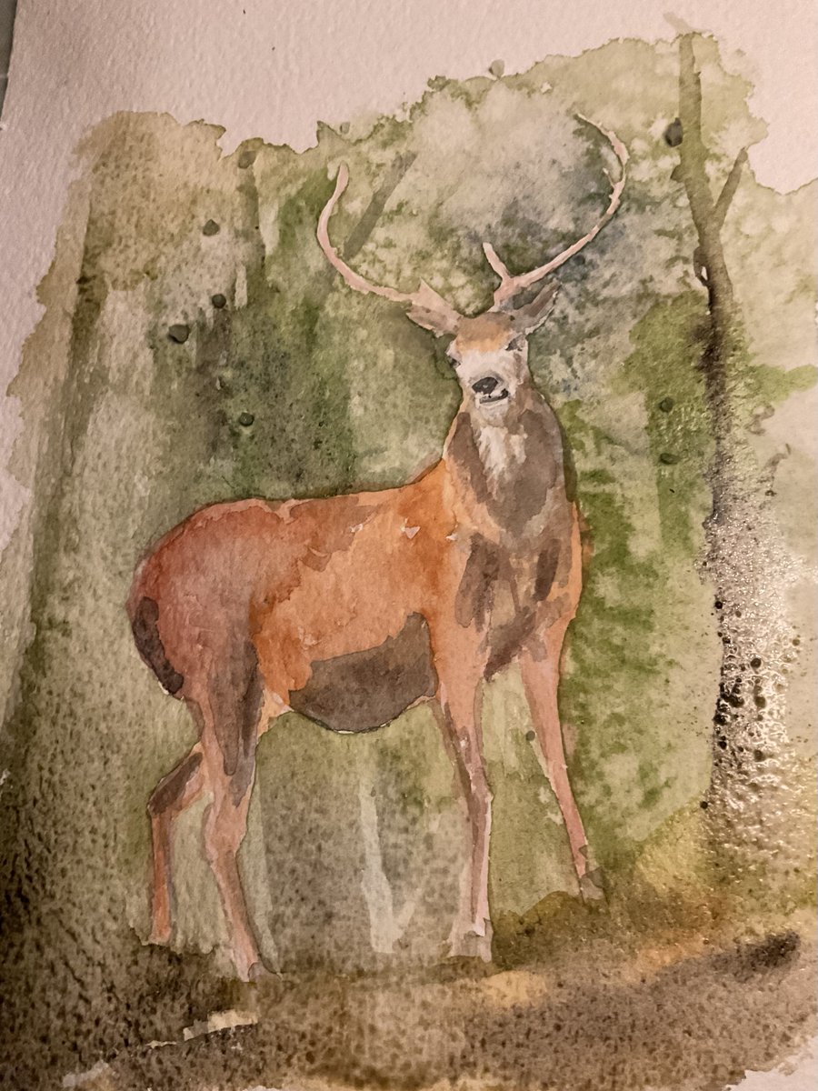 It’s always difficult knowing when to stop!  Still wet!