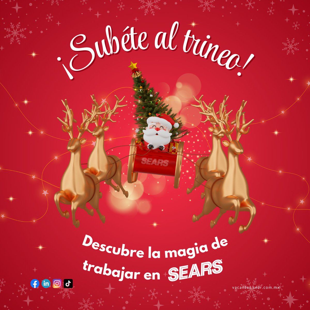 Rhamericas's tweet photo. 🎄✨ ¡Haz brillar tu talento esta Navidad con Sears! ✨🎄

Vacantes disponibles:
✅ Cajer@ vendedor@

Registra tus datos en:
👉 https://t.co/j8LRxoDSm1

📍🎅🏼 Asiste a tu tienda SEARS “Plaza Las Américas” para más información o contáctanos al WhatsApp 📲  #OportunidadesLaborale https://t.co/OlHM9QBRjz