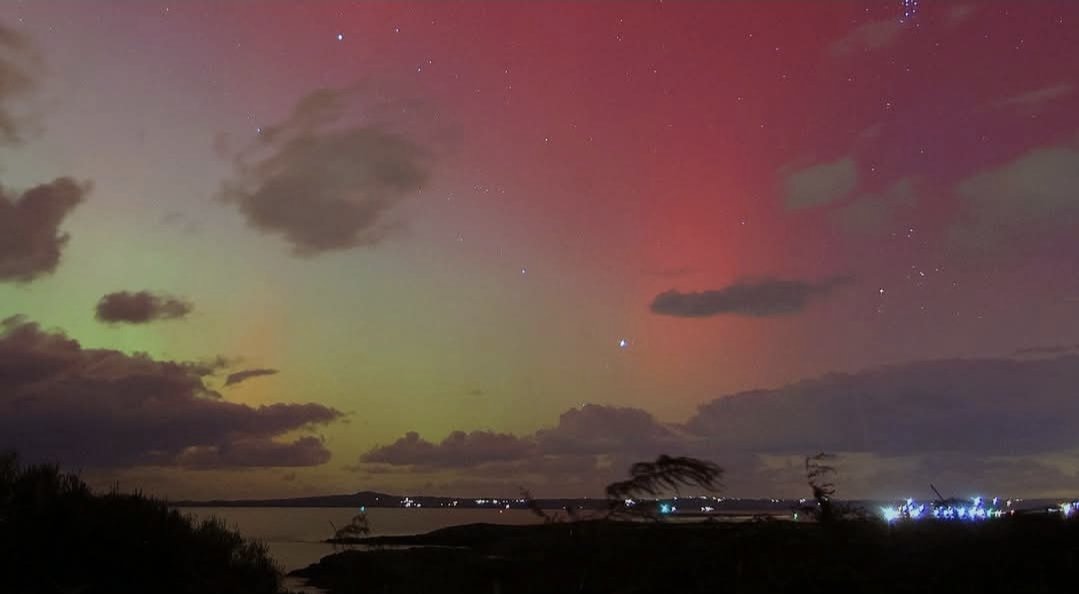 Anthony Ward tweet media