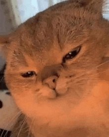 Whenever whales and <a href="/binance/">Binance</a> getting ready to dump BTC.