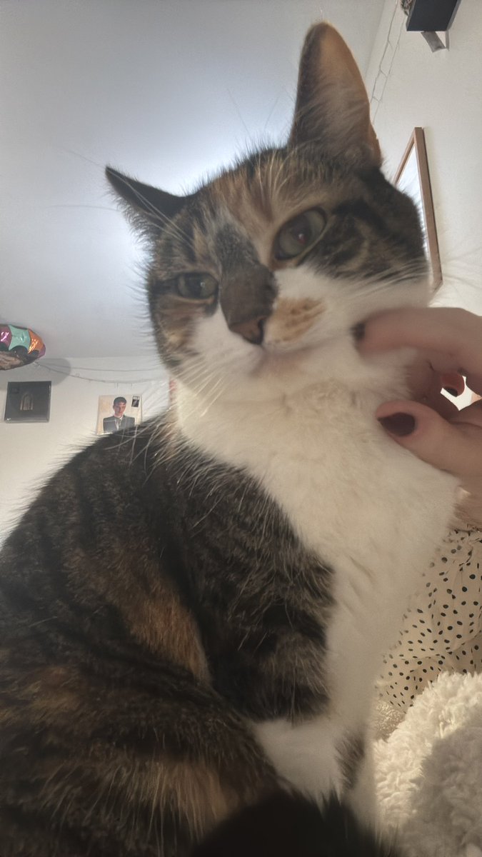 blossum said thank god it’s friday