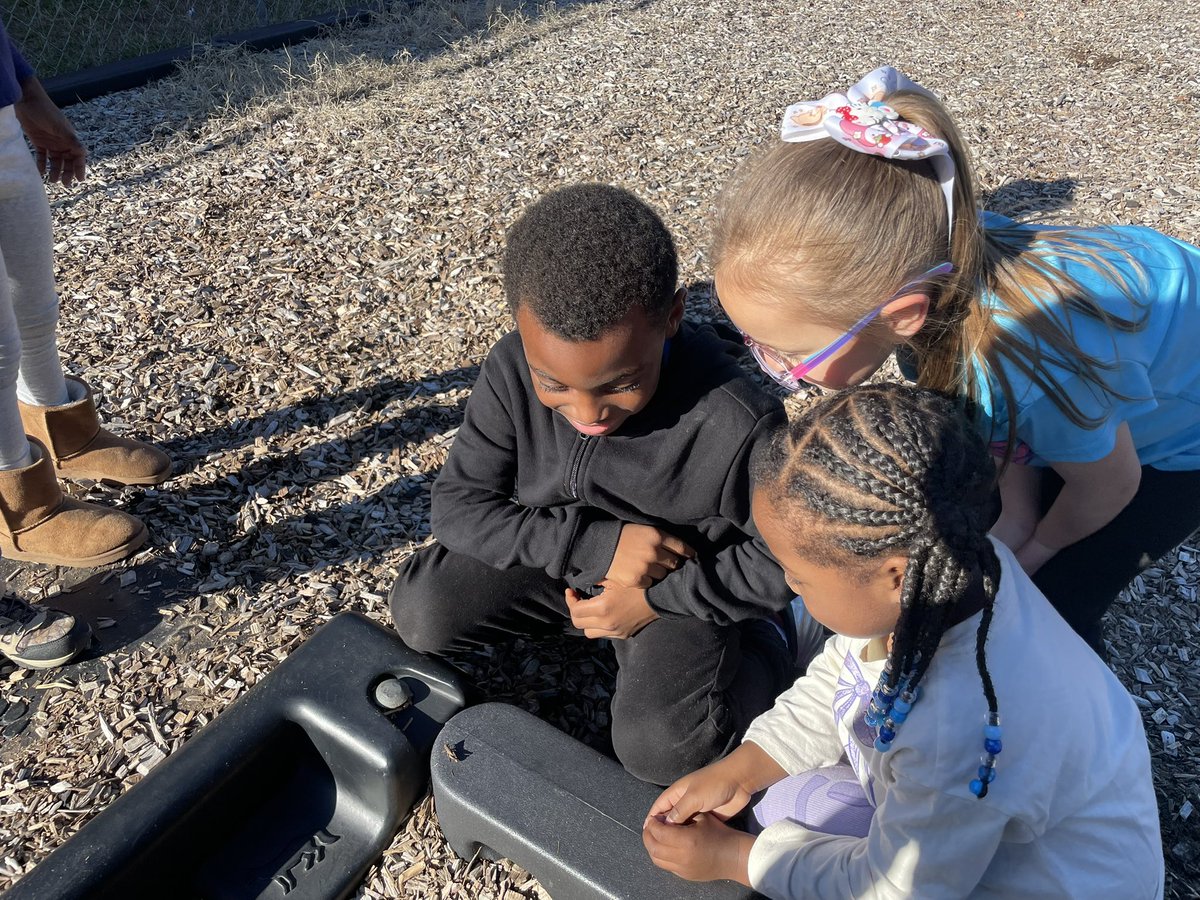 Kinders found a grasshopper on the playground. #ScienceInvestigation  <a href="/mermaidninja713/">Emily Winchell</a> <a href="/Aritmetica_Lady/">A Smith</a> <a href="/FCPSchoolsTN/">Fayette County Public Schools</a> <a href="/keelmathTN/">Eddie Keel</a> <a href="/oessnookster1/">oessnookster</a> <a href="/OESrockSTARS/">Oakland Elementary School</a> <a href="/BCESMustangCity/">Buckley-Carpenter</a>
