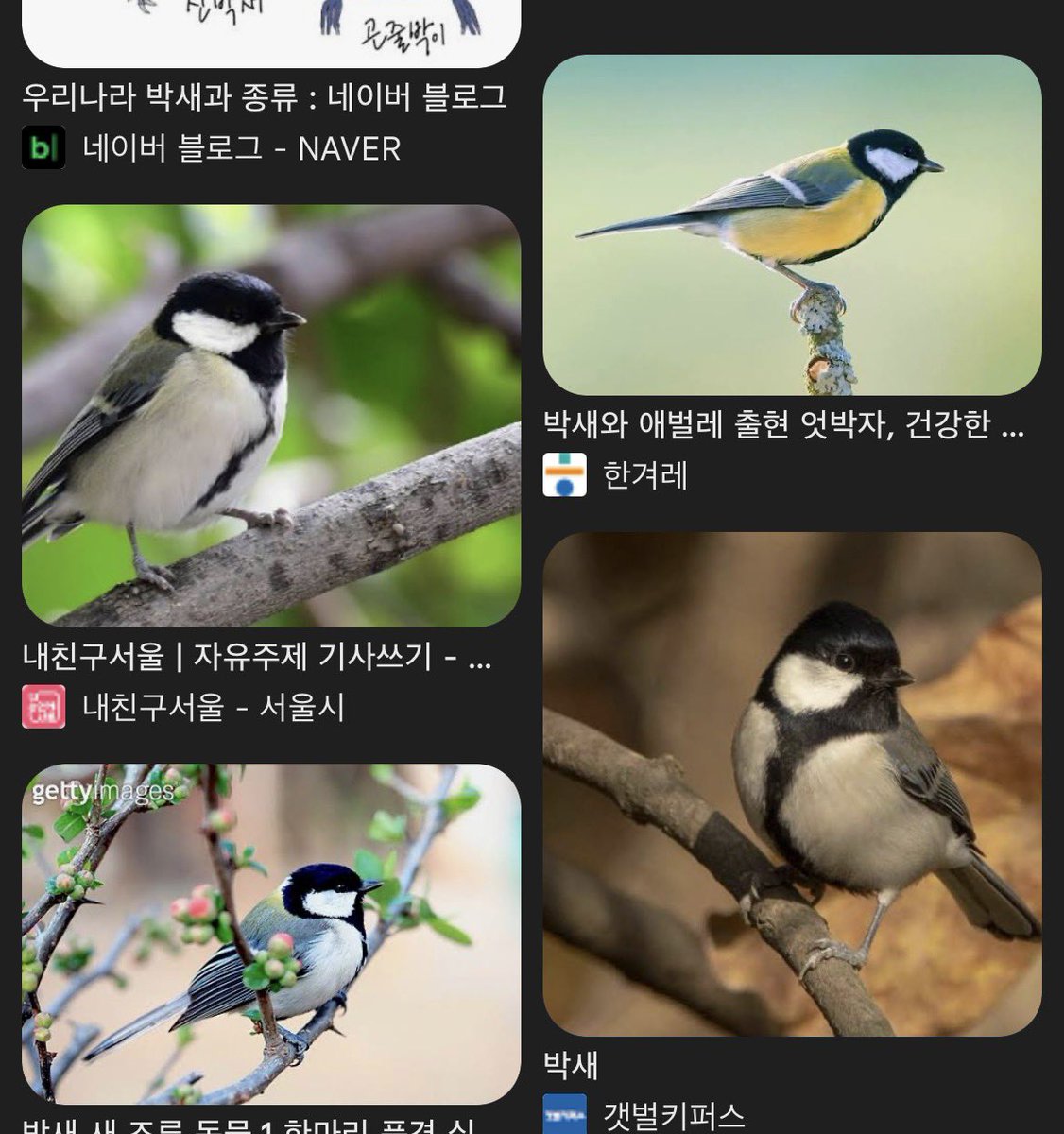 보통 굵기가 어떤지 몰라서 검색했더니.. 저 박새는 정말 인기가 많겠네요ㅋㅋㅋ