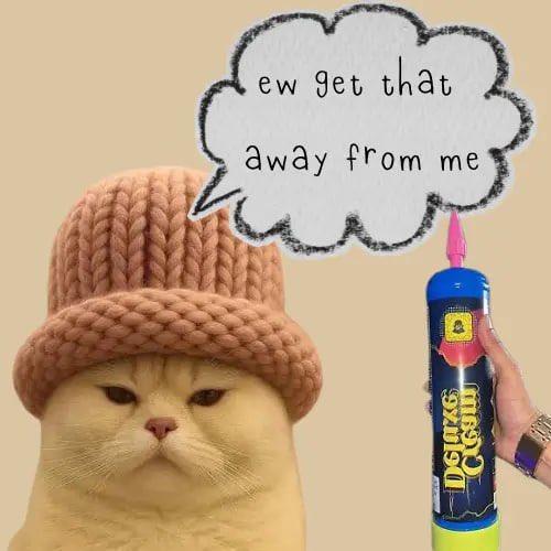 Gary 🐈 tweet media