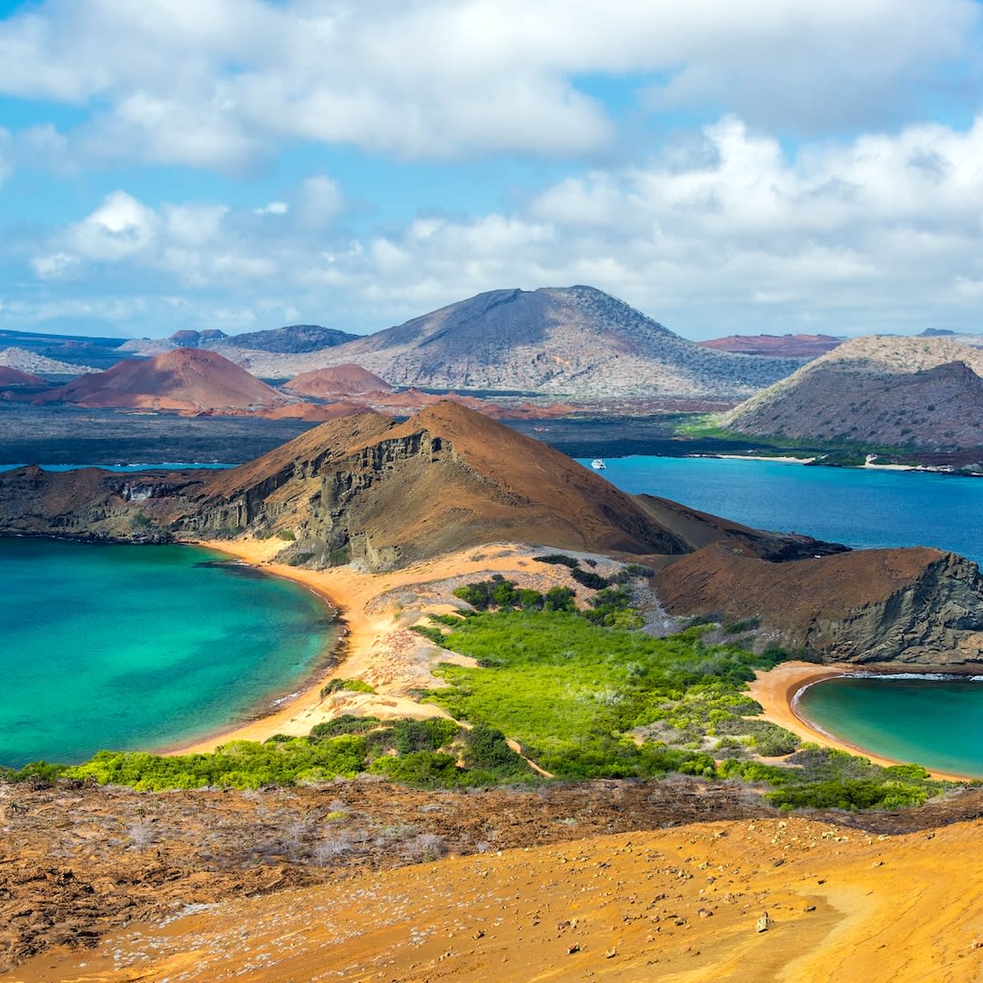 ESomewhere25557's tweet image. Set sail on a Galápagos expedition! 🐢 Spot giant tortoises, marine iguanas &amp;amp; rare birds while exploring pristine habitats with expert guides. Bucket list trip? Time to check it off! (970) 852-5322