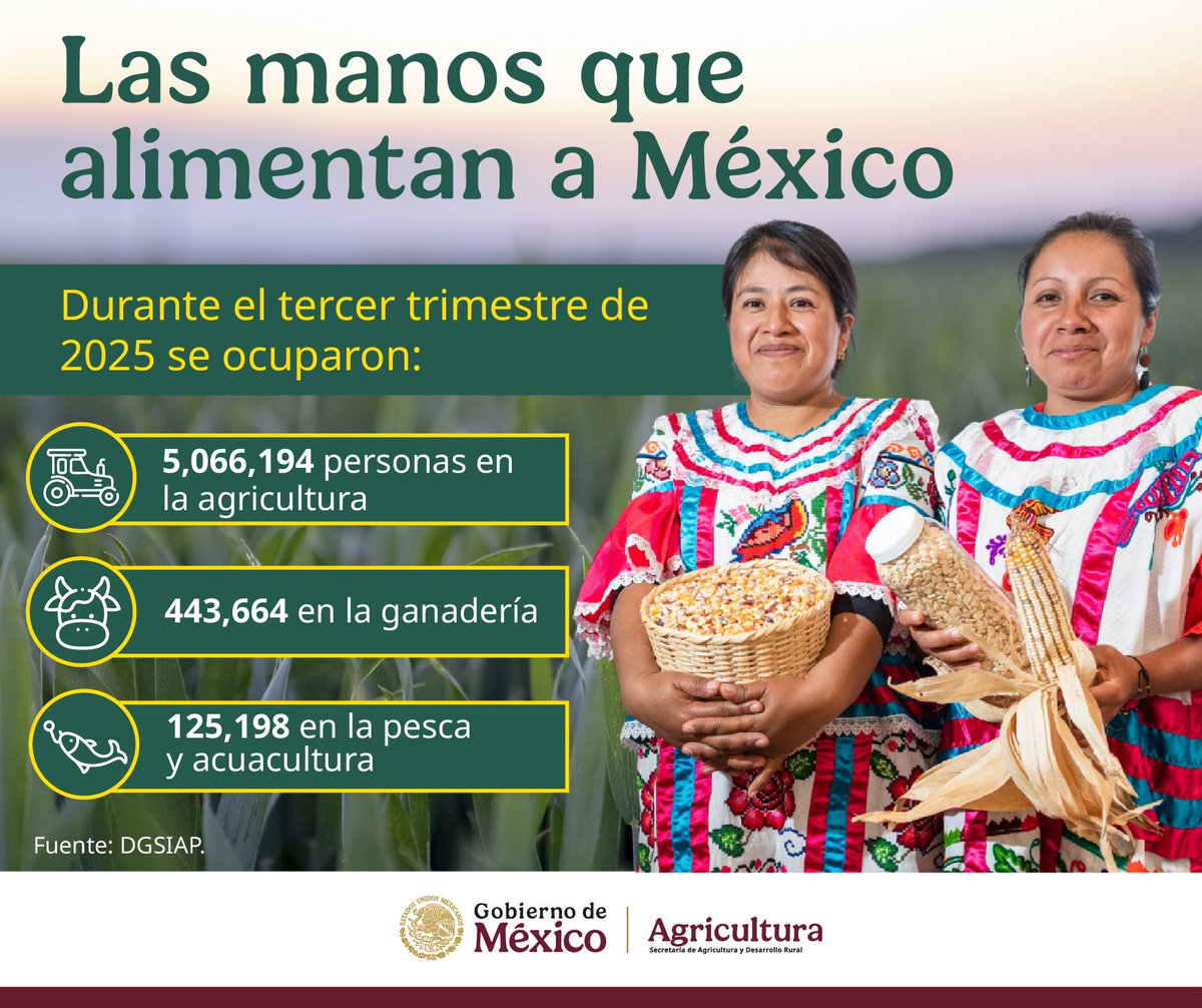 La fuerza del sector primario está en su gente: mujeres y hombres que, con su trabajo diario, garantizan el bienestar de millones de familias. 

Desde el Gobierno de México reafirmamos nuestro compromiso de seguir impulsando mejores condiciones para quienes alimentan al país.