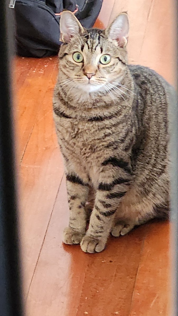 What the hell man...